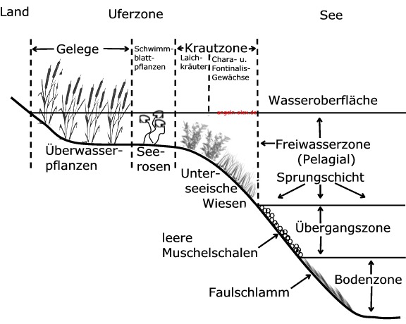 Gerässerzonen