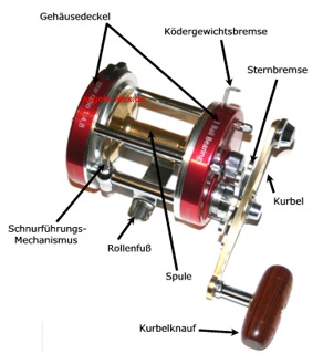 Multirolle