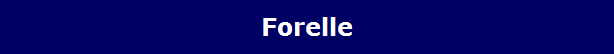 Forelle