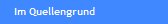 Im Quellengrund 