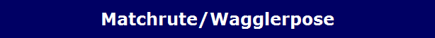 Matchrute/Wagglerpose