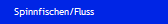 Spinnfischen/Fluss
