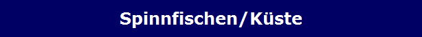 Spinnfischen/K�ste