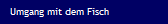 Umgang mit dem Fisch