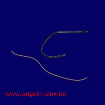 Snell Knoten