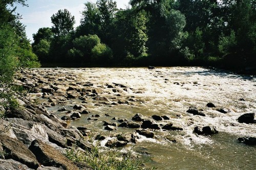 Schussen vor der Mündung