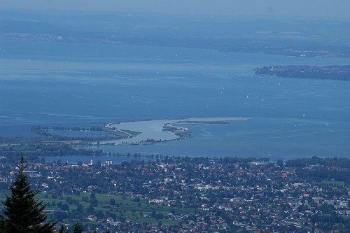 Rheinmündung bei Hard