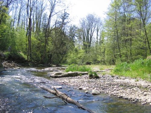 Rotach am Bodensee