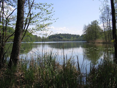 Schussen vor der Mündung