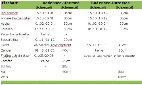 Blick auf den Bodensee