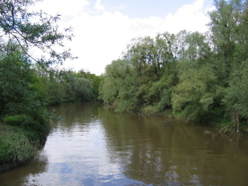 Schussen vor der Mündung