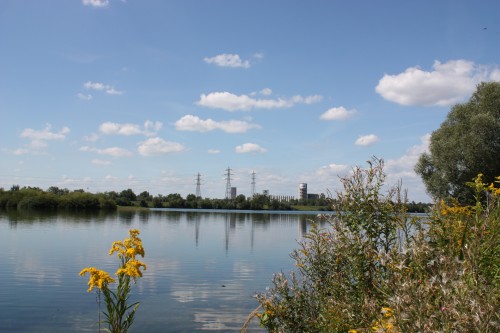 Großer See am Rhein