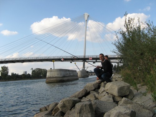 Rapfen an der Europa Brücke