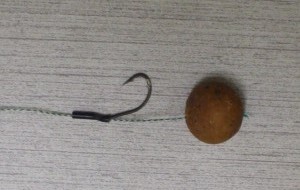 Boilies als Karpfenköder