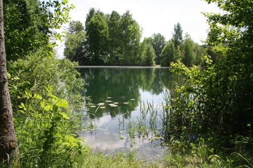 Karpfenangeln am See